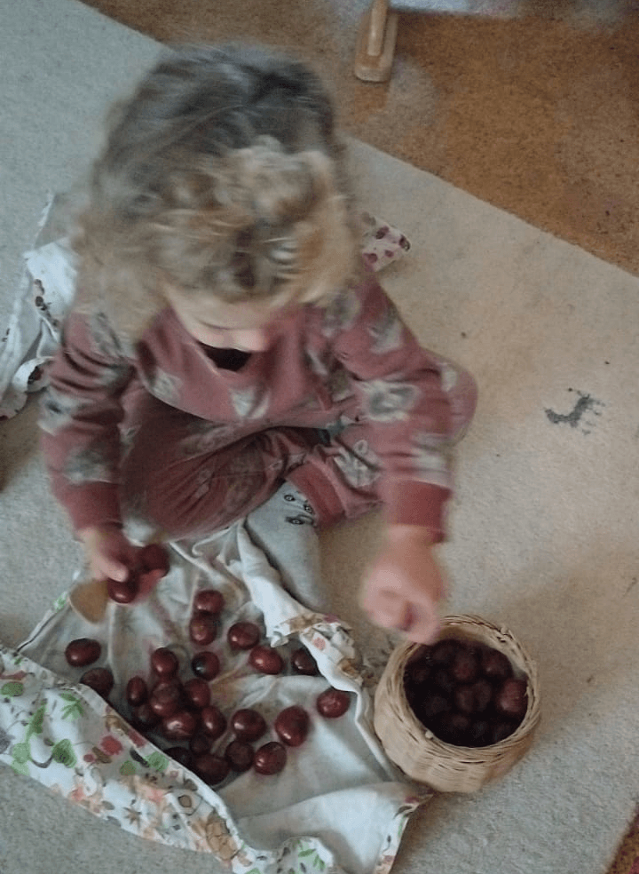 Kastanje Oogst Kastanjetijd