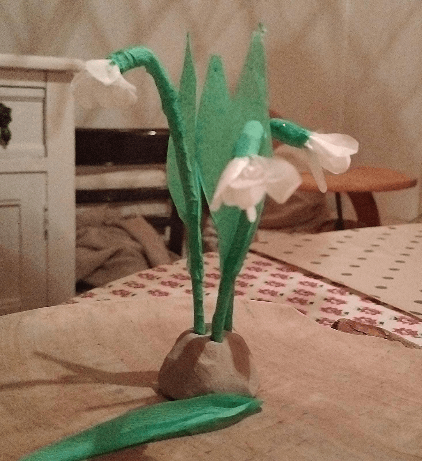 sneeuwklokje Narcissus